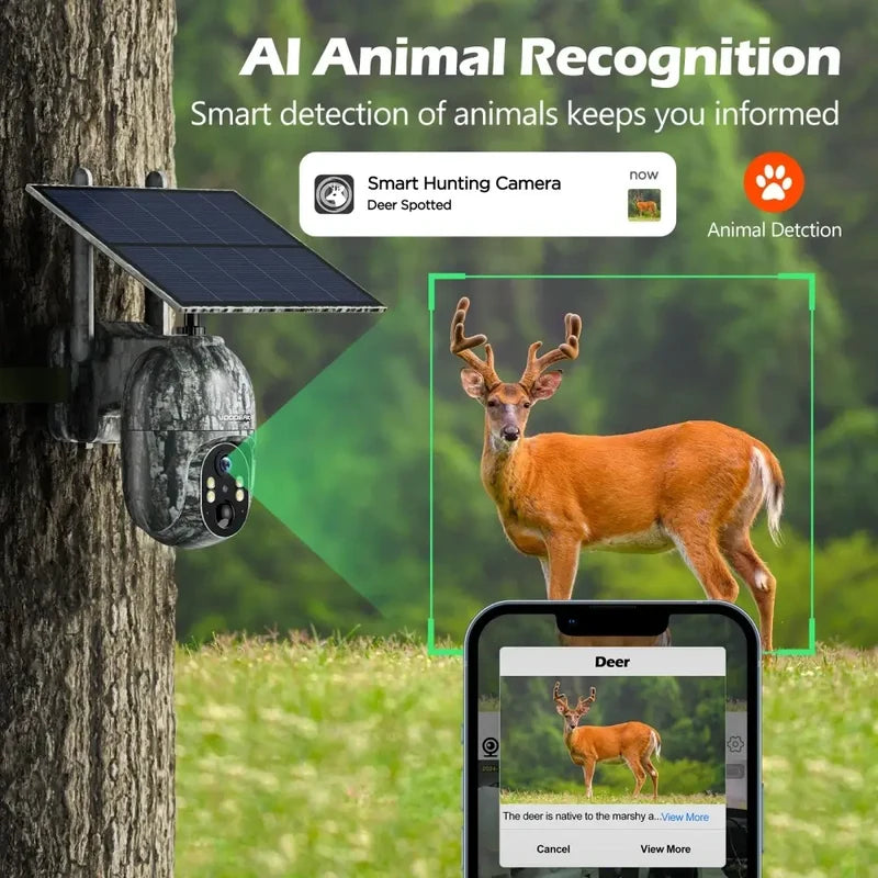 Trail Cameras